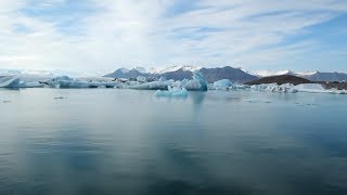 Découverte | L'ADN environnemental de l'océan Arctique