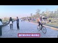 影子 完整版《爱过伤过到错过》超好听｜广东横琴 花海长廊