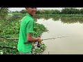 câu cá tra sông bãi này mới quăng câu chưa Được 5 phút lụm liền 2 con fishing miền tây