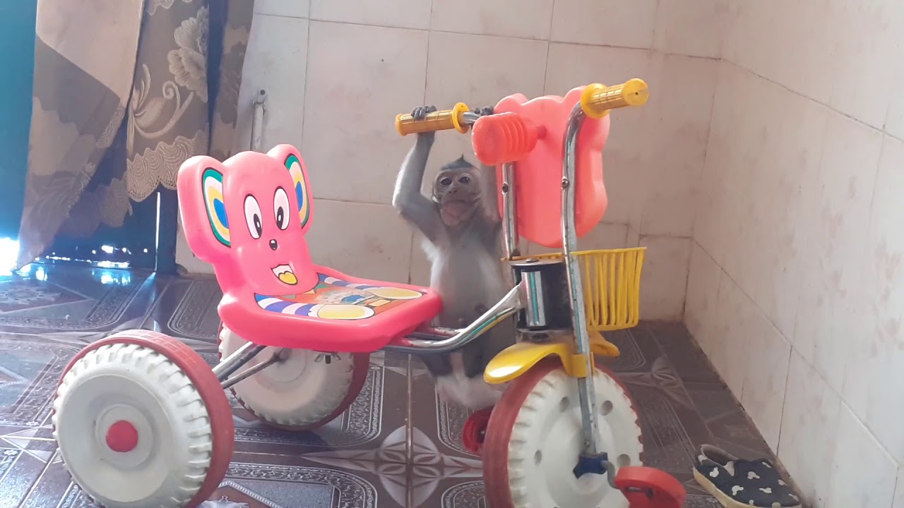 What You Play Monkey Apollo Drew Youtube