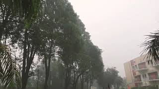 Heavy rainfall in Azad bhawan | IIT ROORKEE