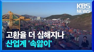 환율 불안에 정유·화학·방산 속앓이…중소 수출입 업체 직격탄 / KBS  2024.12.10.