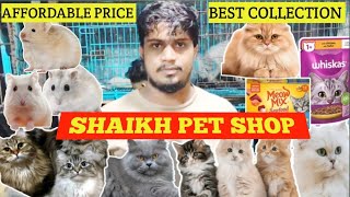 Shaikh Pet Shop l All Varieties Of Cats And Cat Food At Cheapest Price l Kurla Pet Market 🐾