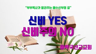 신비YES 신비주의 NO