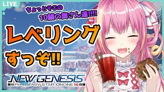 【PSO2NGS】10鯖の民～～～！レベリングするぞ～～！【ship10/新人Vtuber】