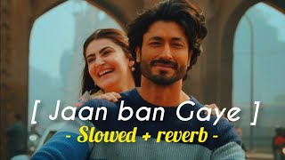 Jaan ban gaye 💝 (Slowed + Reverb) Song