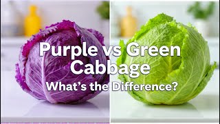 Purple vs Green Cabbage: What’s the Real Difference?