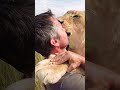 lion hugs 🦁