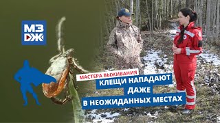 МЗЖ: Клещи нападают даже в неожиданных местах