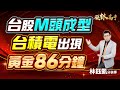 中視【股林高手】20241128#林鈺凱：台股 M頭成型 台積電 出現黃金86分鐘#中視新聞 #股林高手