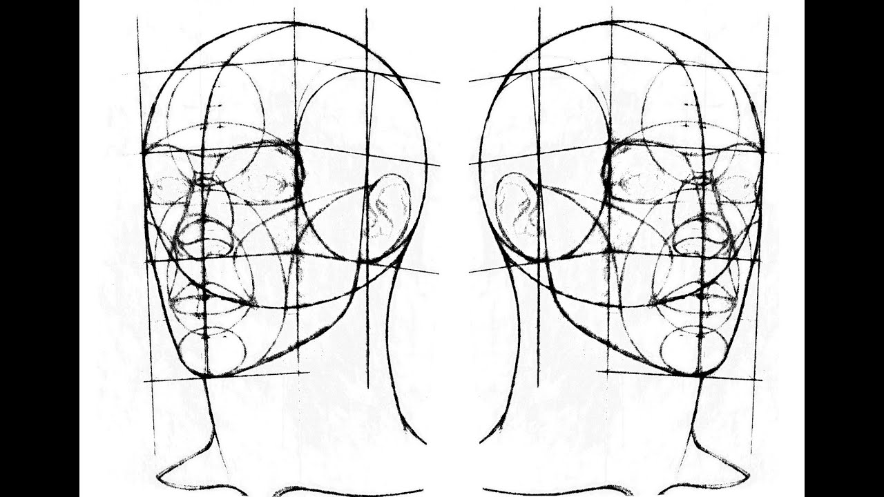 How To Draw Head Using Reilly Method