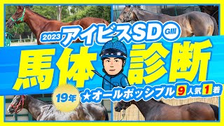 【アイビスサマーダッシュ 2023】19年は９人気の爆穴馬推奨！夏の名物レースの好走条件とは！？某大手牧場の元スタッフが見抜く重賞馬体診断！重賞フォトパドック【競馬予想】