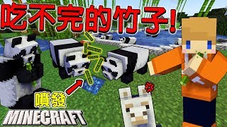 Minecraft＿冠冠生存EP#131:熊貓不餓了！無限發射竹子！【1.14】