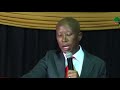 julius malema attacks president zuma mk party tsunami