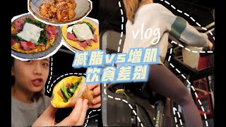 【健身+三餐vlog】增肌和减脂饮食差别 / 私教课练背 / 低卡低脂糖醋肉 / 工作日健身便当