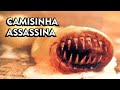 Camisinha Assassina Trailer