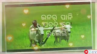 Happy Nuakhai best status#shorts video