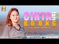 Vita Alvia - Cinta Tapi Boong (Official Music Video)