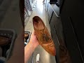 $1 000 shoes at a thrift store🤯