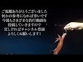 鳥取沖オモリグ u0026イカメタル　ヒットパターン解説！爆釣エギ紹介