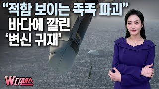 [W디펜스] “적함 보이는 족족 파괴” 바다에 깔린 ‘변신 귀재’ /머니투데이방송