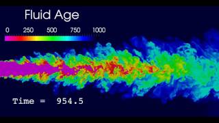 Fluid-age of turbulent jet