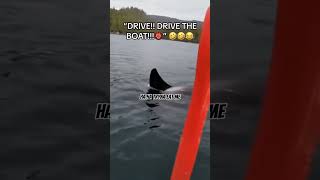 The Orca Attack You'll Never Forget|#shorts #killerwhales