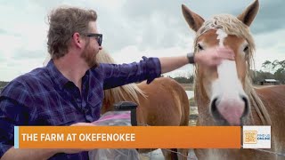The Farm at Okefenokee: The Adventure of a Lifetime