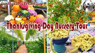 🇨🇦 A visit to a nursery on Thanksgiving day @Toronto , happy harvest 感恩节逛苗圃丰收喜庆 看看哪些奇花异草没见过