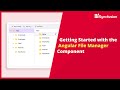 Getting Started with the Angular File Manager Component