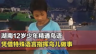 湖南12歲男孩精通鳥語，憑特殊語言指揮鳥兒做事，被村民稱為鳥神