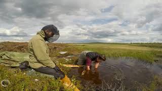 Mission for Arctic Methane - Renee McDonald - St. Francis Xavier University