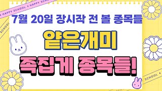 [얕은개미 족집게 종목!]  7월20일 목요일 가장 중요한 장시작전 족집게 종목들 정리!! 장 시작하기전에 무조건 봐야할 중요 이슈들과 종목들!]