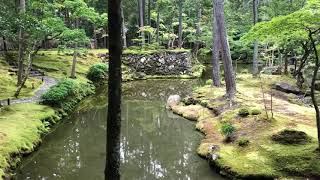 世界遺産の風景/京都苔寺（西芳寺）大きな池がありました