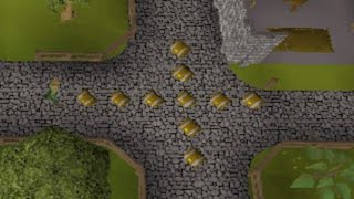 Loot From 10 Medium Clue Caskets At Once On Entrana!