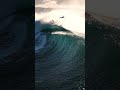 SURFER ALMOST DIES …. #shorts