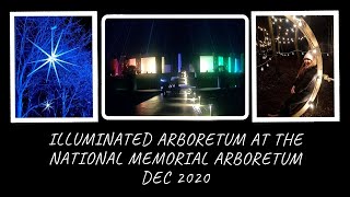 Illuminated Arboretum at the National Memorial Arboretum - Dec 2020