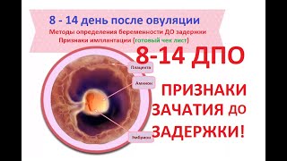 (🔔 ЧЕКЛИСТ) 👶8-14 ДПО - признаки беременности ДО задержки! 15 симптомов зачатия после овуляции