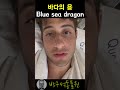 바다에 존재하는 용 blue sea dragon