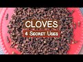 4 Secret Uses of Clove Spice