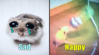 Sad Hamster vs Happy Hamster (Meme Battle)