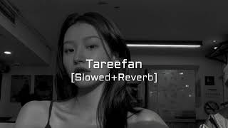 Tareefan - Badshah [Slowed+Reverb]