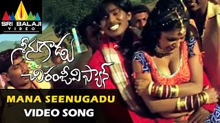 Seenugadu Chiranjivi Fan Video Songs | Mana Seenugadu Bhale Video Song | Vijay Vardhan