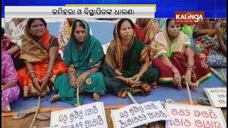 Jajpur: Displaced families stage protest in front of Emami Cement Plant demanding jobs | Kalinga TV