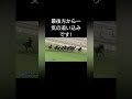 第11回アルテミスs 後方から直線一気 勝ったのはラヴェル shorts