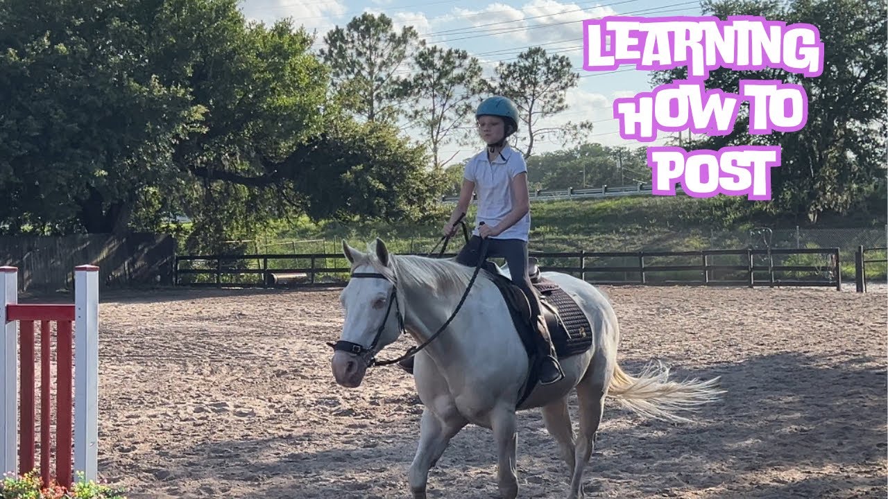 Horse Riding Youtube