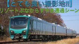 【非電化区間はとても良い】JR東日本烏山線快速“リゾートぶなからすやま”HB-E300系 下野花岡➡︎宝積寺 通過シーン