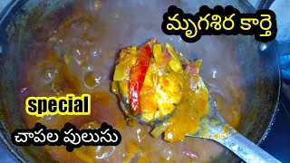 మృగశిర కార్తె || చేపల పులుసు ||మృగశిర కార్తె రోజు చేపల పులుసు తినాలని మీకు తెలుసా.