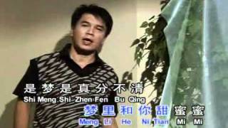 LinBinCai林秉材~梦来梦去都是你(华语)