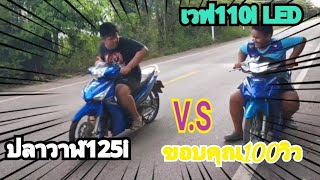 125iปลาวาฬ V.S เวฟ110i LED EP.1